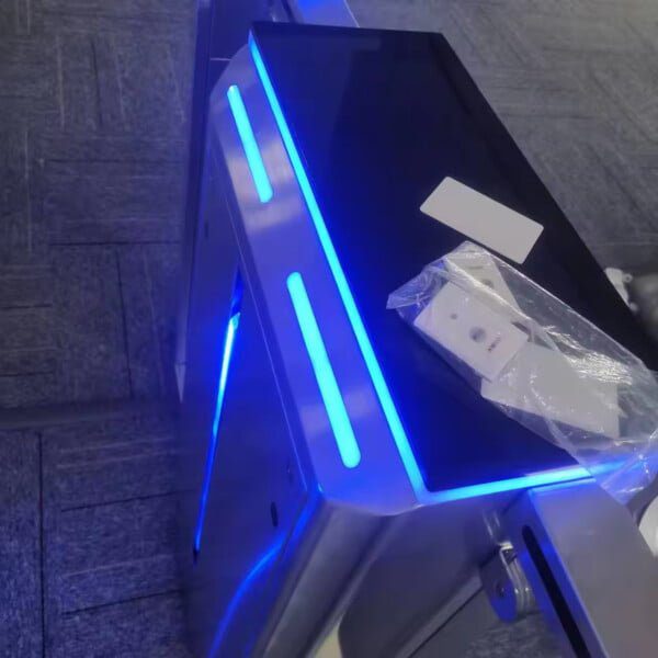 Luxury Intelligent Flap Barriers Gate Access Control