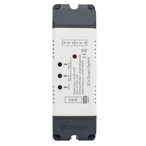 Tuya Smart WiFi Wireless DIY Switches 2CH Relay Module 433mhz RF