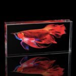 Glass Solid Bricks for Wall Decor