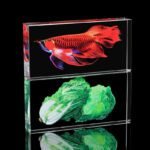 Glass Solid Bricks for Wall Decor